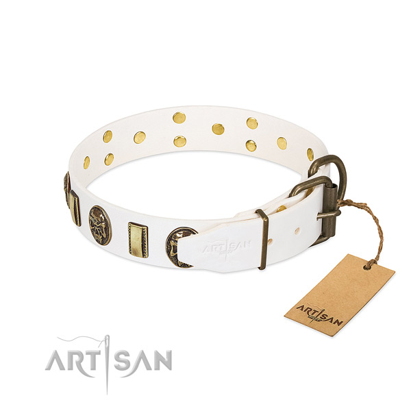 Strong D-ring on leather collar for walking your four-legged friend