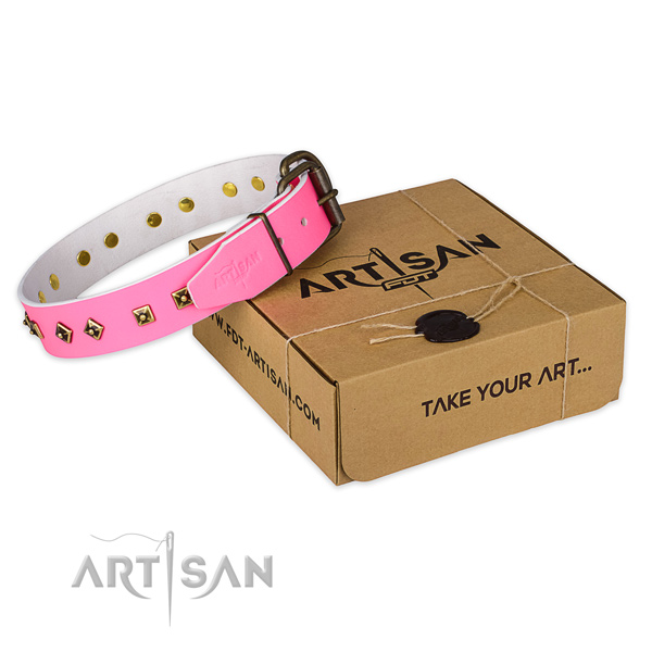 Reliable hardware on full grain leather dog collar for stylish walking