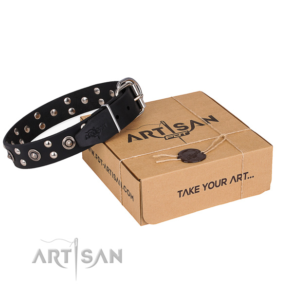 Daily walking dog collar with Exquisite rust-proof studs