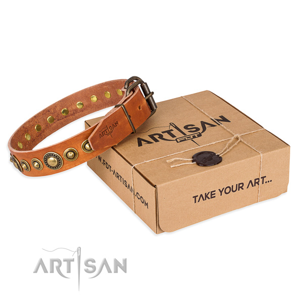 High quality full grain natural leather dog collar crafted for daily use