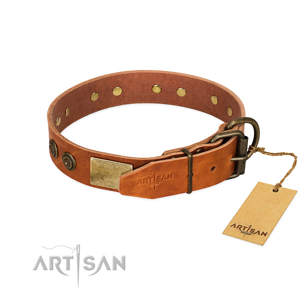 Corrosion proof D-ring on leather collar for daily walking your pet