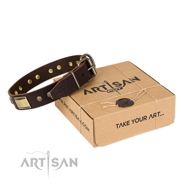 Decorated full grain natural leather collar for your attractive doggie