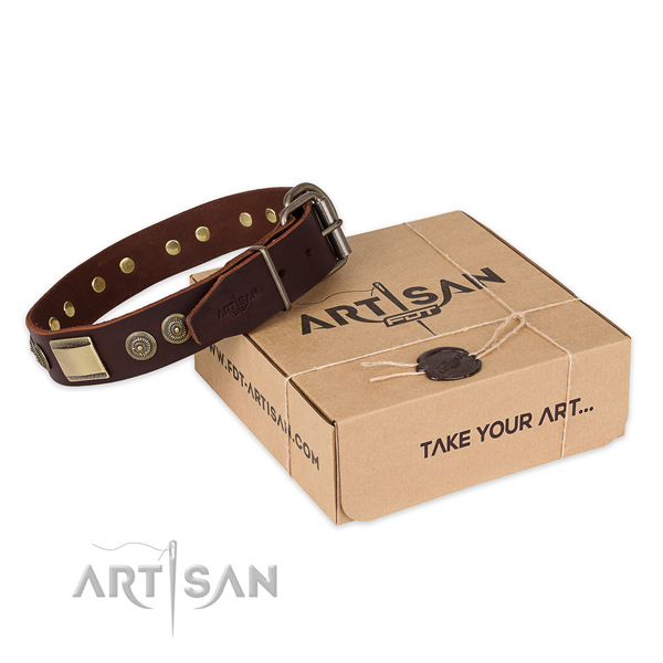 Durable fittings on leather dog collar for fancy walking