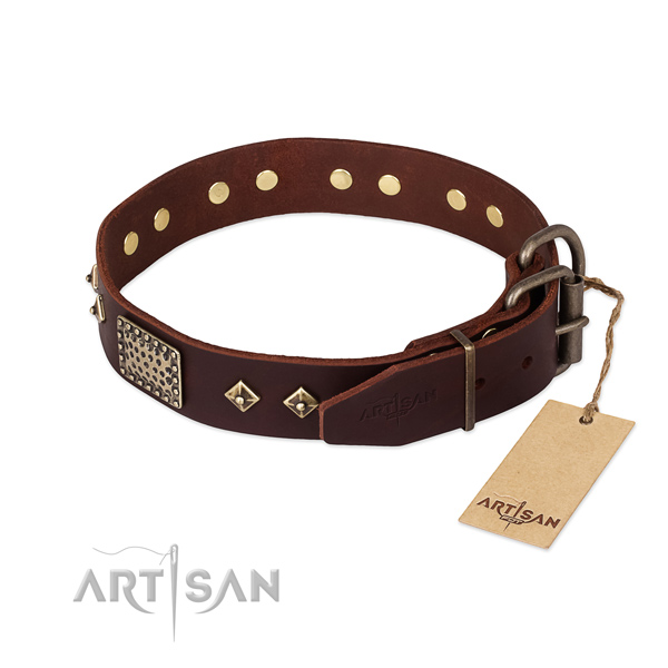 Leather dog collar with rust-proof D-ring and embellishments