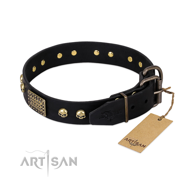Reliable decorations on daily use dog collar