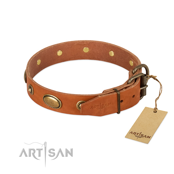 Strong decorations on leather dog collar for your canine