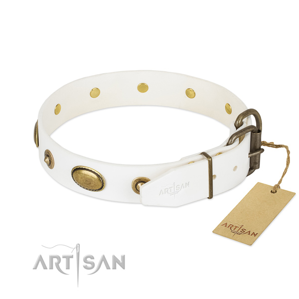 Strong traditional buckle on full grain natural leather dog collar for your dog
