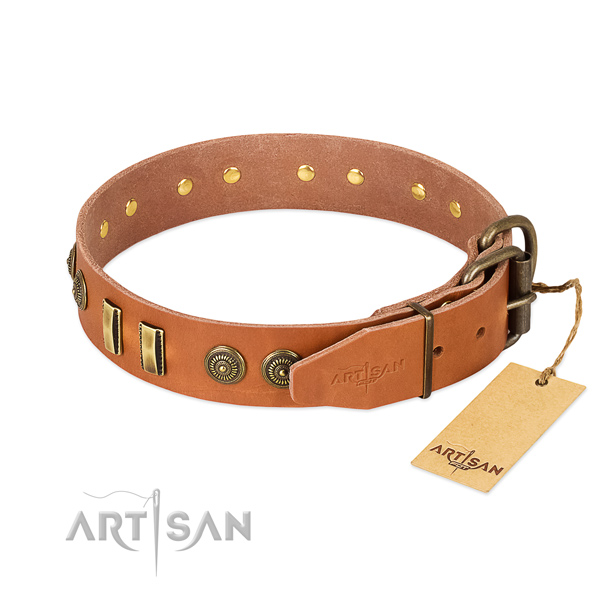 Corrosion resistant traditional buckle on full grain natural leather dog collar for your pet