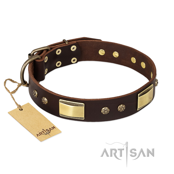 Genuine leather dog collar with durable traditional buckle and decorations