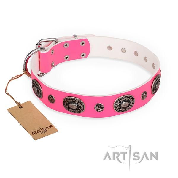 Top notch genuine leather dog collar made for daily use
