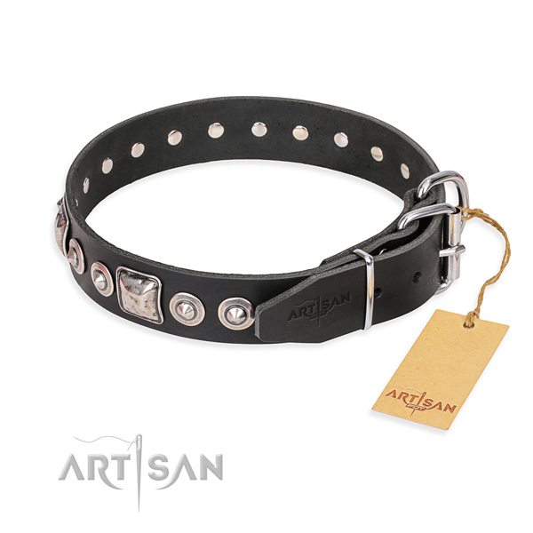 Leather dog collar made of flexible material with reliable embellishments
