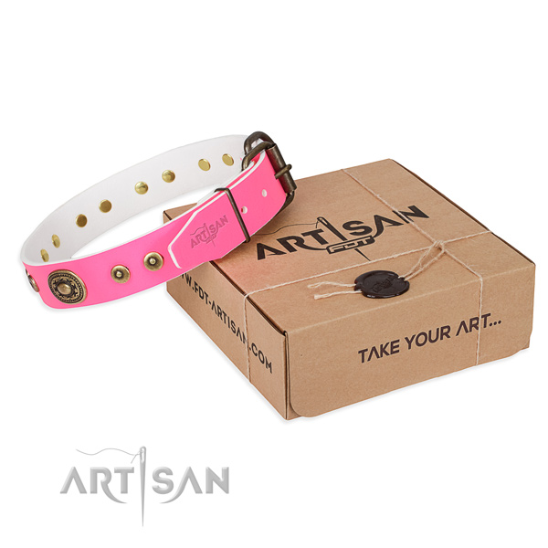 Full grain natural leather dog collar made of flexible material with rust resistant traditional buckle