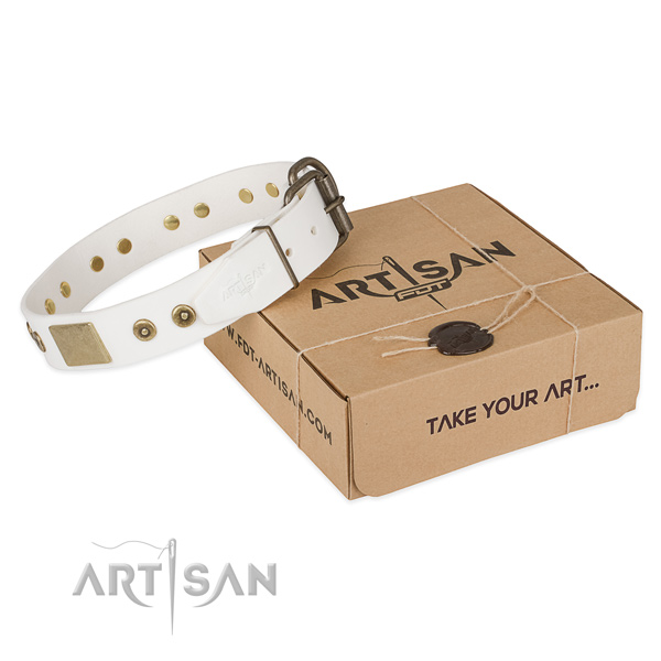 Stylish full grain leather collar for your attractive four-legged friend