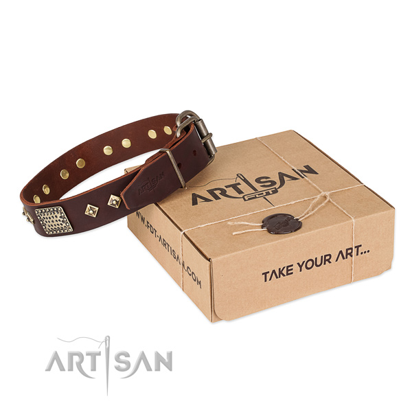 Adorned full grain leather collar for your attractive doggie