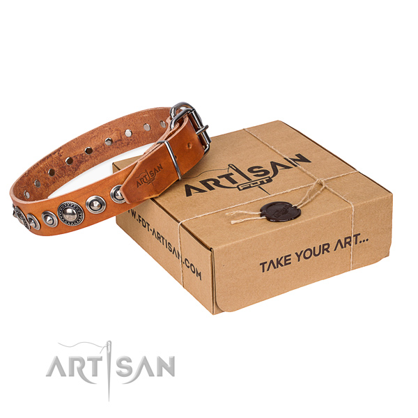 Full grain genuine leather dog collar made of quality material with rust-proof fittings