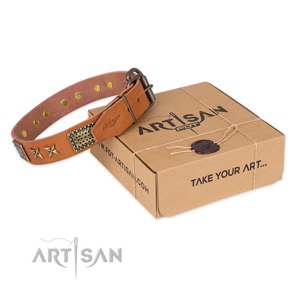 Durable buckle on full grain leather collar for your stylish dog