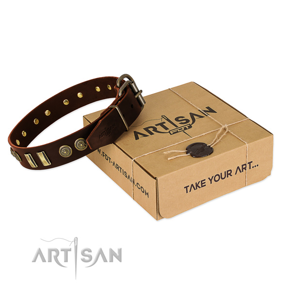 Rust resistant decorations on leather dog collar for your pet