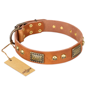 "Saucy Nature" FDT Artisan Tan Leather Sharpei Collar with Old Bronze Look Plates and Skulls