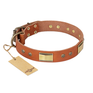 "Enchanting Spectacle" FDT Artisan Tan Leather Sharpei Collar with Old Bronze Look Plates and Round Studs "Enchanting Spectacle" FDT Artisan Tan Leather Sharpei Collar with Old Bronze Look Plates and Round Studs