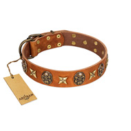 "Rockin' Doggie" FDT Artisan Tan Leather Sharpei Collar Adorned with Stars and Skulls