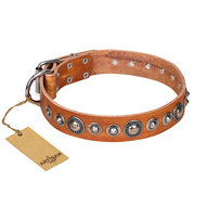 "Daily Chic" FDT Artisan Tan Leather Sharpei Collar with Decorations "Daily Chic" FDT Artisan Tan Leather Sharpei Collar with Decorations