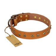 "Autumn Story" FDT Artisan Leather Sharpei Collar with Old Bronze Look Studs "Autumn Story" FDT Artisan Leather Sharpei Collar with Old Bronze Look Studs