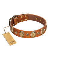 "Venus Breath" FDT Artisan Tan Leather Sharpei Collar with Vintage Looking Oval and Round Studs