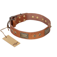 "Catchy Look" FDT Artisan Decorated Tan Leather Sharpei Collar "Catchy Look" FDT Artisan Decorated Tan Leather Sharpei Collar