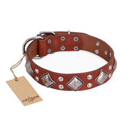 "Magic Squares" FDT Artisan Tan Leather Sharpei Collar with Silver-like Decor