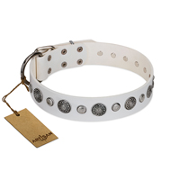 "Fluff-Stuff Beauty" FDT Artisan White Leather Sharpei Collar with Silver-like Studs and Conchos "Fluff-Stuff Beauty" FDT Artisan White Leather Sharpei Collar with Silver-like Studs and Conchos