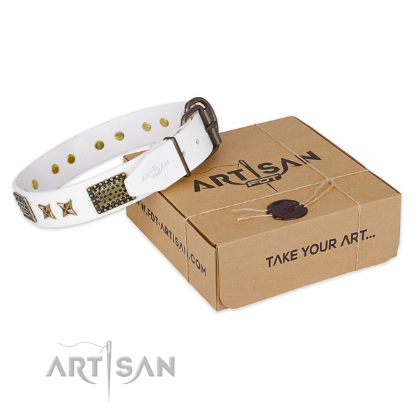 Corrosion resistant buckle on genuine leather collar for your stylish dog