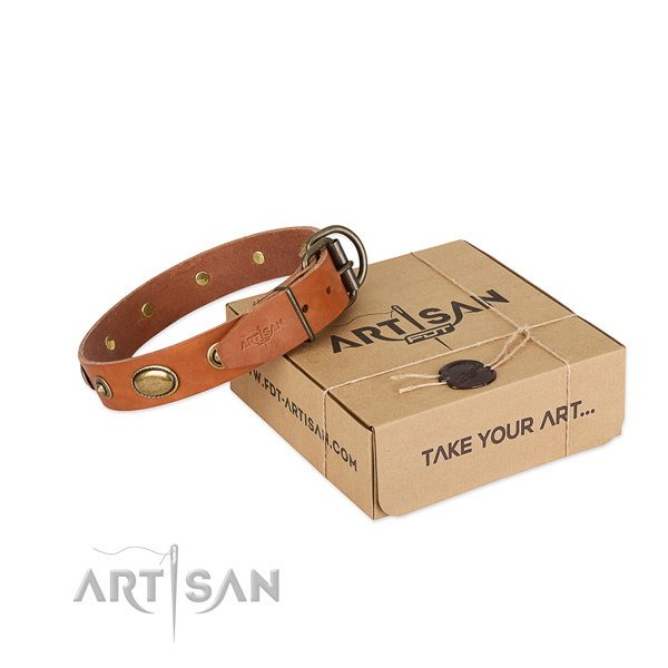 Corrosion resistant buckle on full grain genuine leather dog collar for your four-legged friend