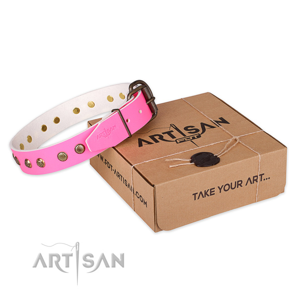 Rust-proof D-ring on genuine leather collar for your stylish canine