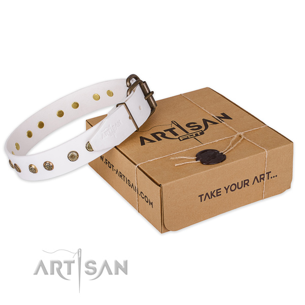 Strong buckle on leather collar for your beautiful doggie
