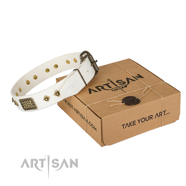Unique genuine leather collar for your beautiful pet
