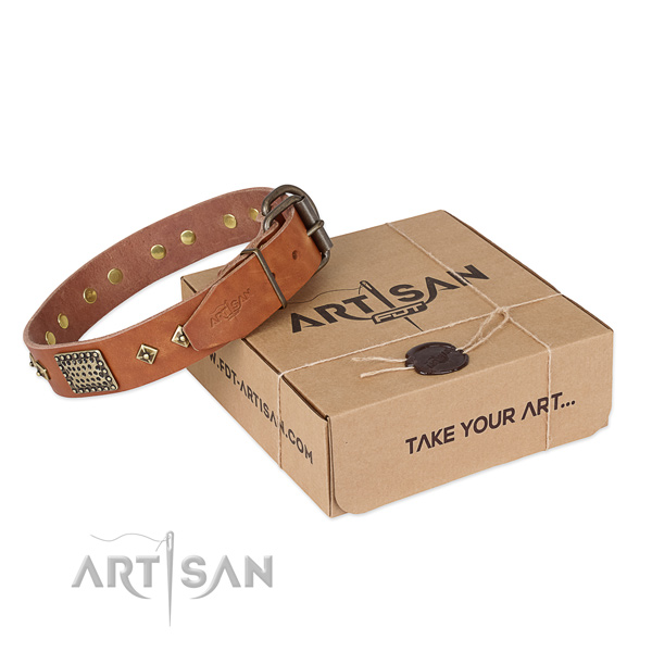 Fine quality full grain natural leather collar for your attractive dog