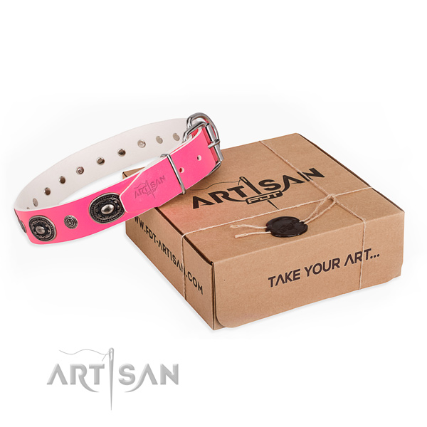 Quality full grain genuine leather dog collar created for basic training