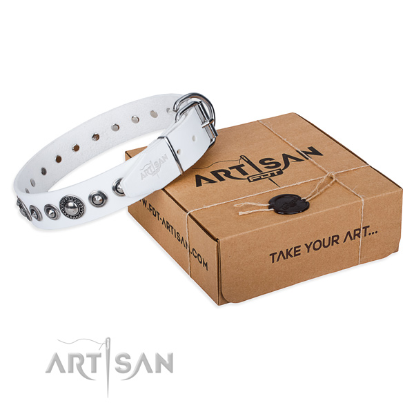 Full grain natural leather dog collar made of soft to touch material with corrosion proof fittings