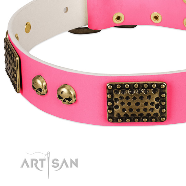 Reliable decorations on natural leather dog collar for your dog