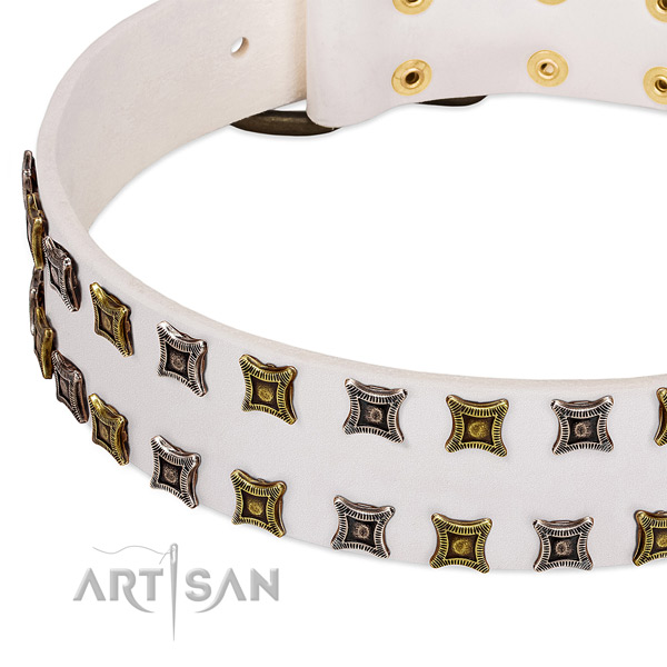 Full grain natural leather dog collar with decorations for your beautiful pet