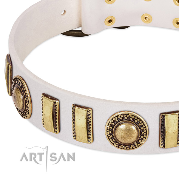 Quality full grain natural leather dog collar with rust resistant buckle