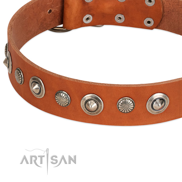 Full grain leather collar with rust resistant D-ring for your handsome canine