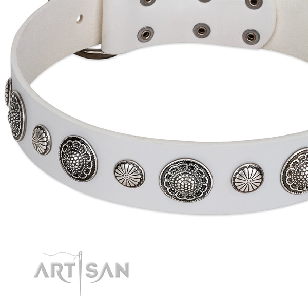 Full grain genuine leather collar with strong buckle for your lovely four-legged friend