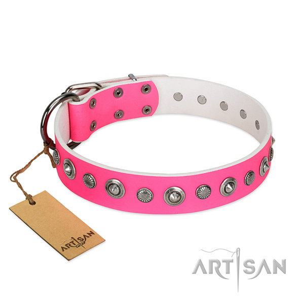 Strong genuine leather dog collar with exceptional decorations