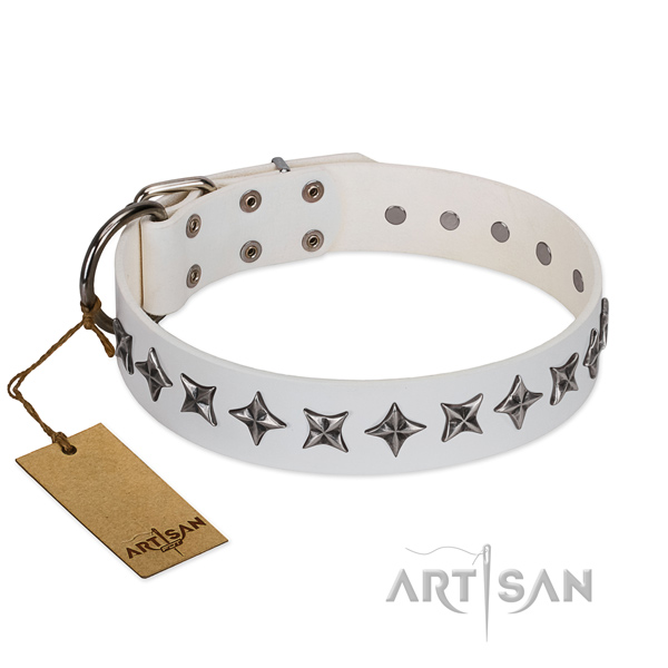 Everyday use dog collar of quality leather with adornments