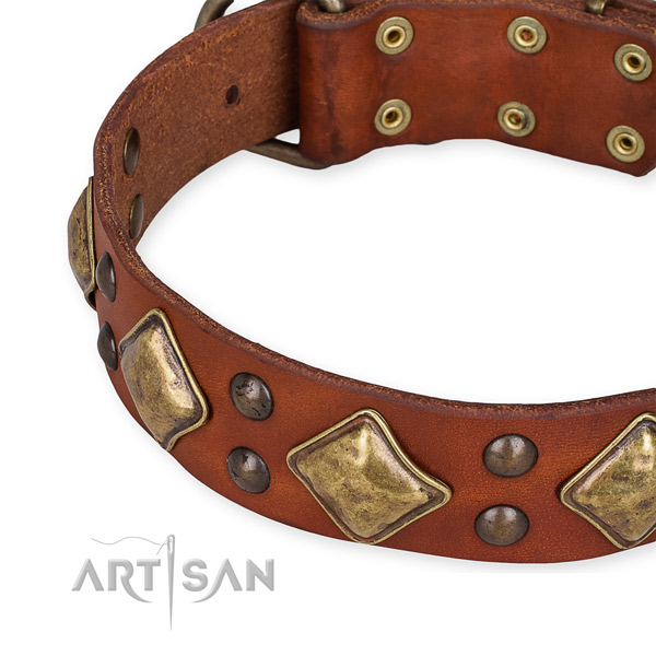 Full grain leather collar with rust resistant traditional buckle for your impressive canine