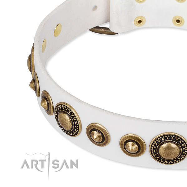 Top rate full grain genuine leather dog collar created for your attractive pet