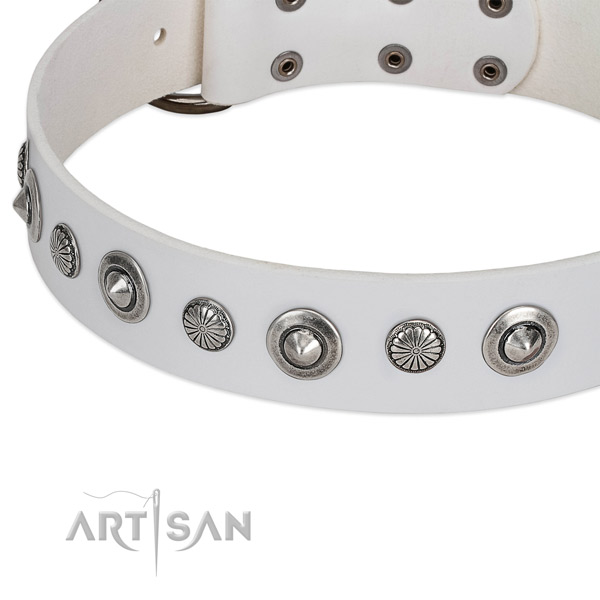 Full grain genuine leather collar with durable traditional buckle for your stylish canine