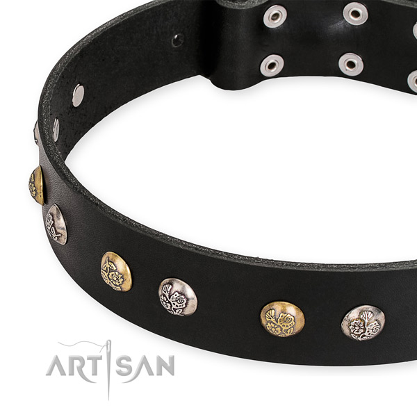 Full grain leather dog collar with impressive reliable adornments