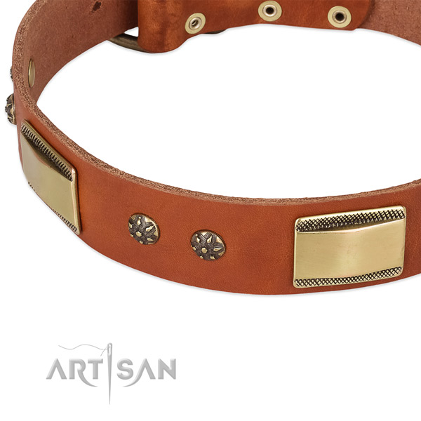 Durable adornments on full grain natural leather dog collar for your pet